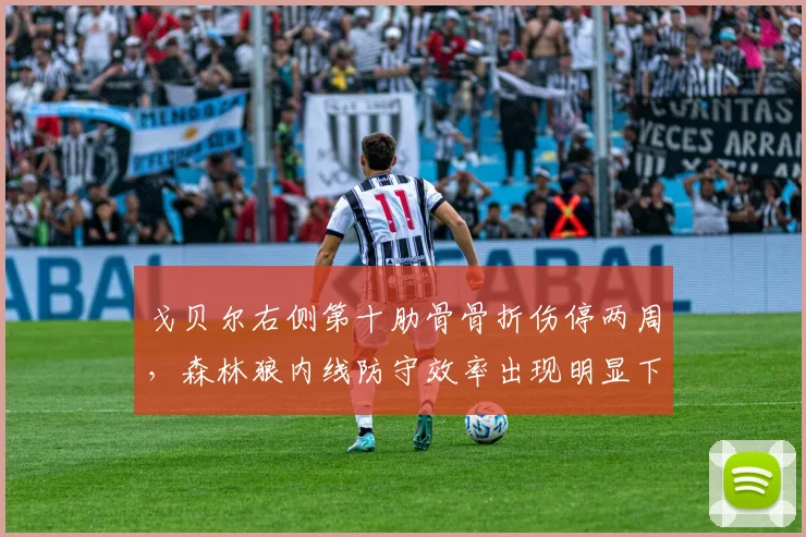 戈贝尔右侧第十肋骨骨折伤停两周,森林狼内线防守效率出现明显下滑