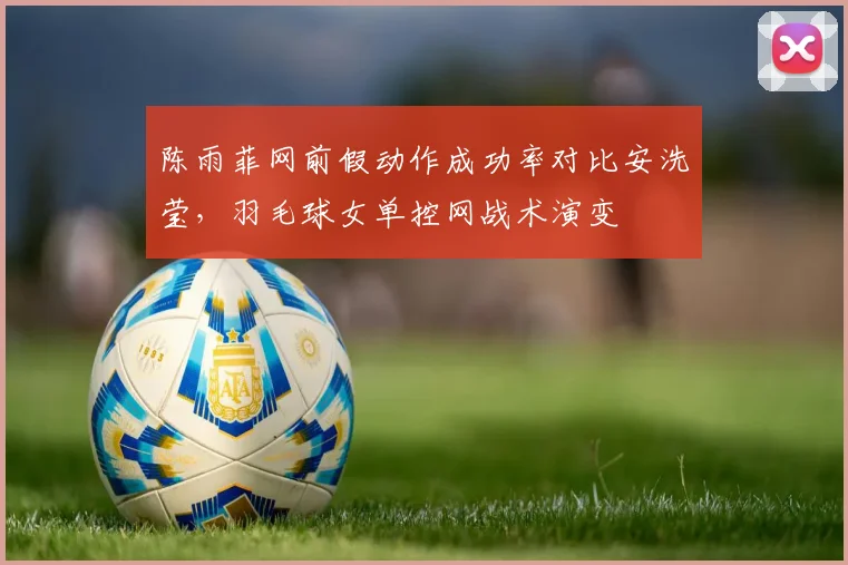 陈雨菲网前假动作成功率对比安洗莹,羽毛球女单控网战术演变